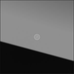 5561000.jpg