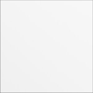 5568902.jpg