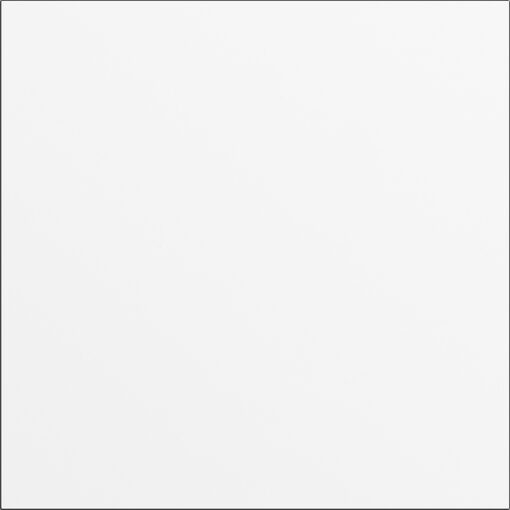 GIRA Blank Mod  System 106 Traffic White(Lac )