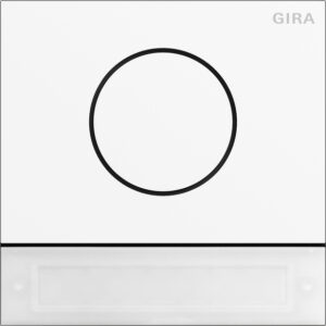 5569902.jpg