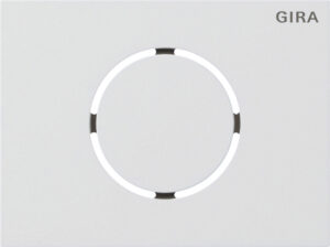 5579902.jpg