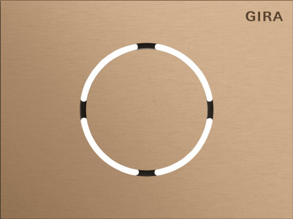 GIRA Front Pl  Door St Mod  System 106 Bronze
