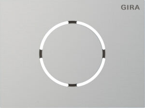 5579926.jpg