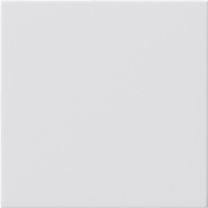 GIRA Blank Cov Pl  W/O Sup Ring System 55 P White