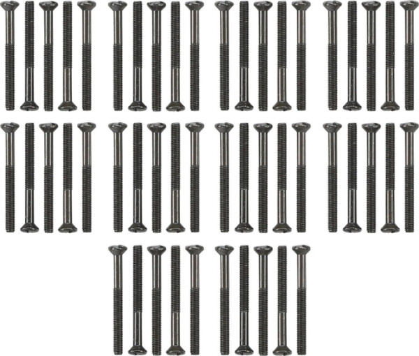GIRA Set Lens Head Screws 50 Pcs  Wp Sm
