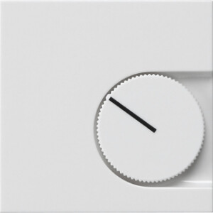GIRA Cov  Rtc Nc Con  W/O Impr  System 55 P White