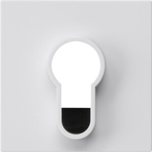 GIRA Cov  Key Sw /Btn W/O Impr  System 55 P White