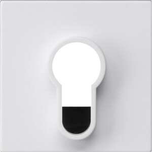 GIRA Cov  Key Sw /Btn W/O Impr  System 55 P White M