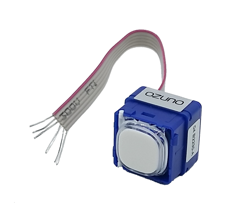 Ozuno ELV Switch - Push Button - Used for USI or Sensor Switch inputs - (New Product) (Available July 2022)